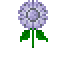 Moonflower.png