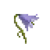 Harebell.png