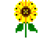 Sunflowerplant.png